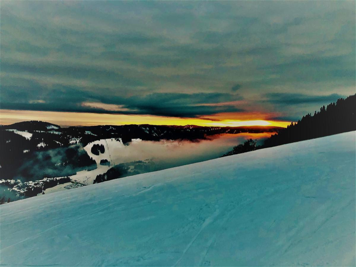 Ski Apartmany Spiezovec دونوفالي المظهر الخارجي الصورة