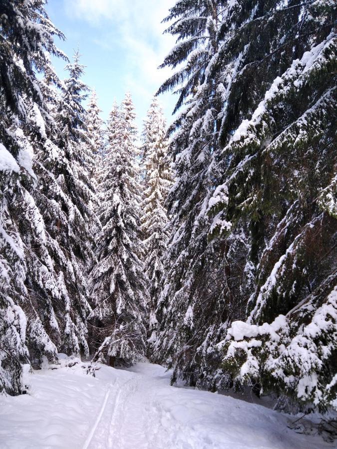 Ski Apartmany Spiezovec دونوفالي المظهر الخارجي الصورة