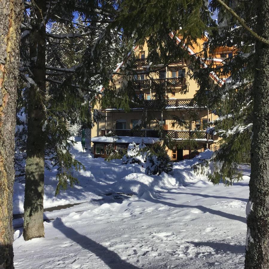 Ski Apartmany Spiezovec دونوفالي المظهر الخارجي الصورة