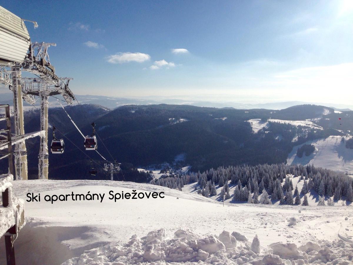 Ski Apartmany Spiezovec دونوفالي المظهر الخارجي الصورة