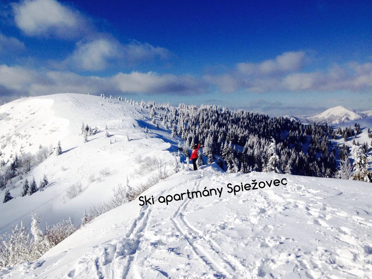 Ski Apartmany Spiezovec دونوفالي المظهر الخارجي الصورة