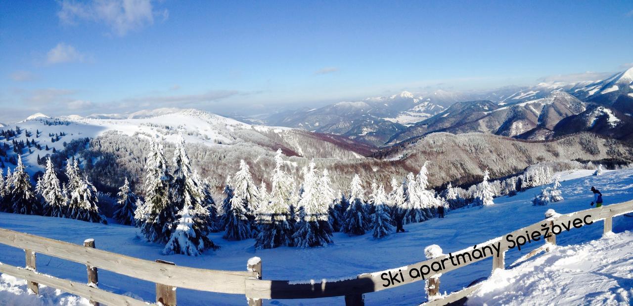 Ski Apartmany Spiezovec دونوفالي المظهر الخارجي الصورة