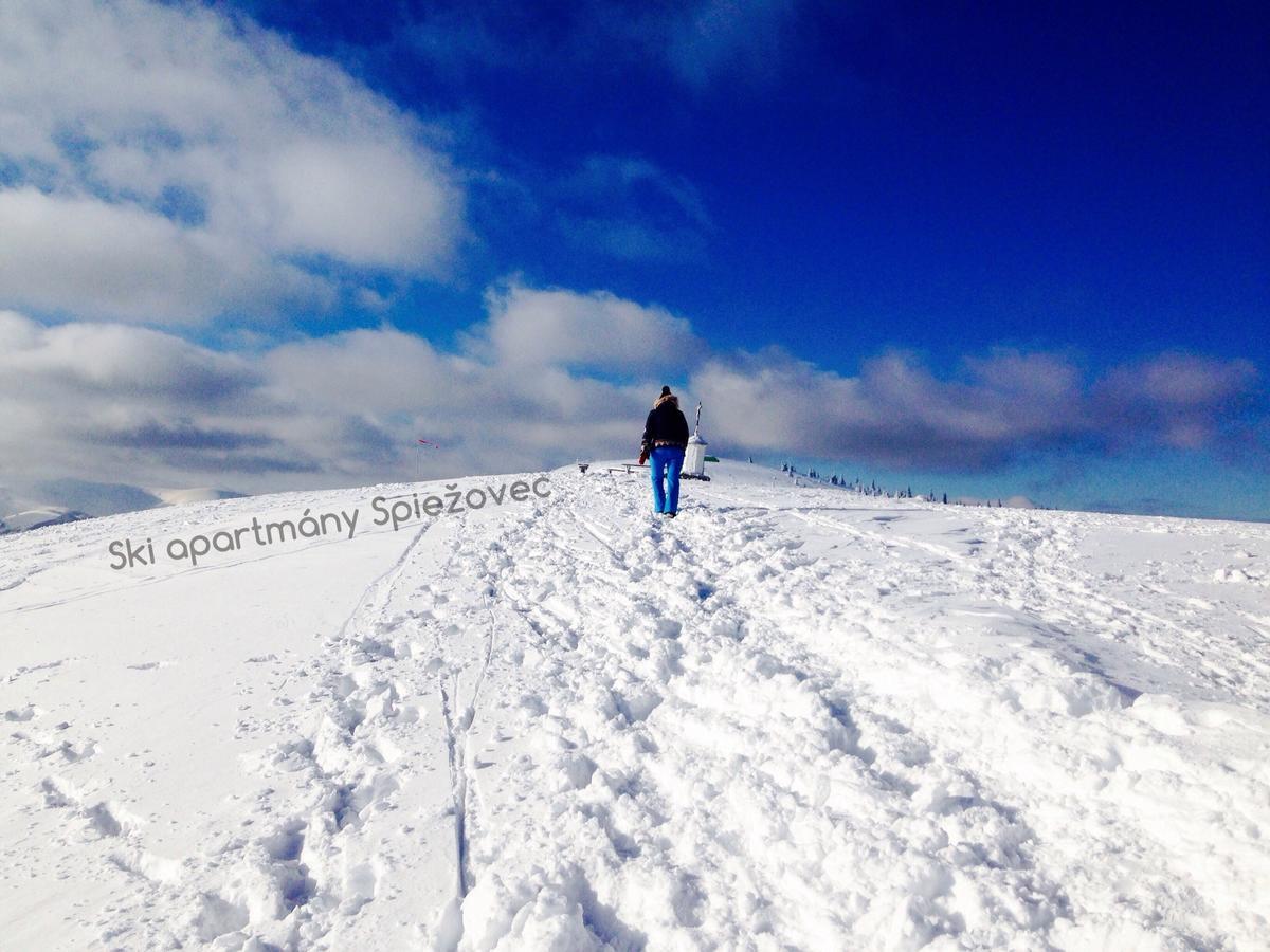 Ski Apartmany Spiezovec دونوفالي المظهر الخارجي الصورة